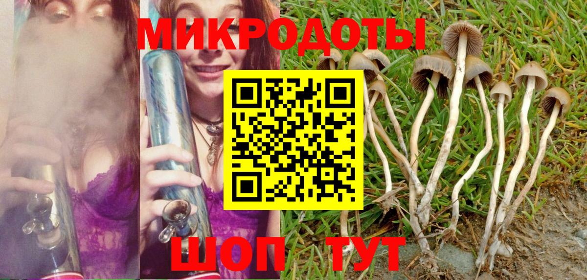 Галлюциногенные грибы Psilocybe  Псилоцибиновые грибы MAGIC MUSHROOMS  Сызрань  Вход с VPN 