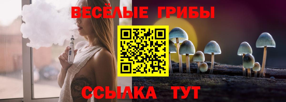 Галлюциногенные грибы Psilocybe Сызрань